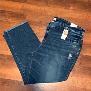 Lane Bryant jeans